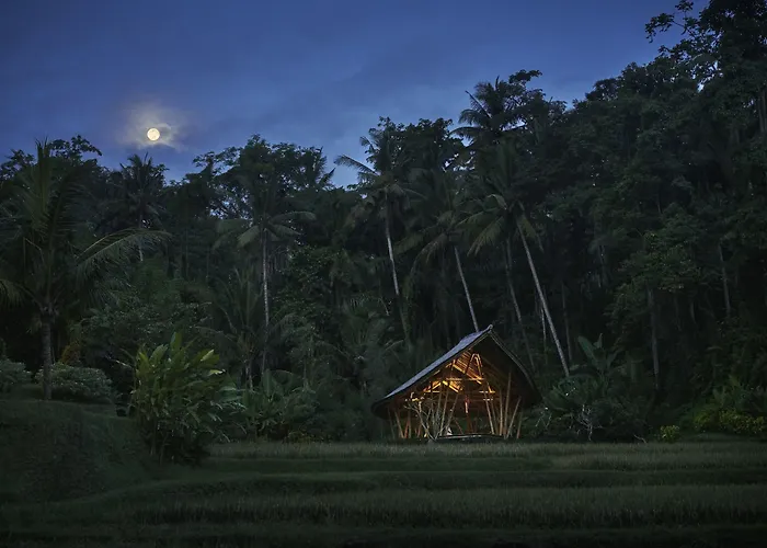 Resort Four Seasons Bali At Sayan 5*