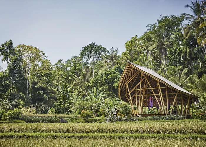 Resort Four Seasons Bali At Sayan Ubud (Bali)