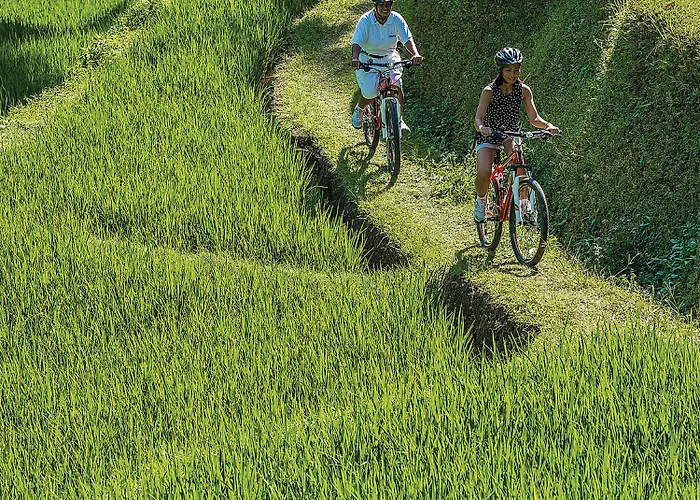 Resort Four Seasons Bali At Sayan Ubud (Bali)