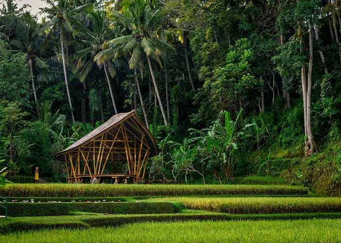 Four Seasons Bali At Sayan 5*