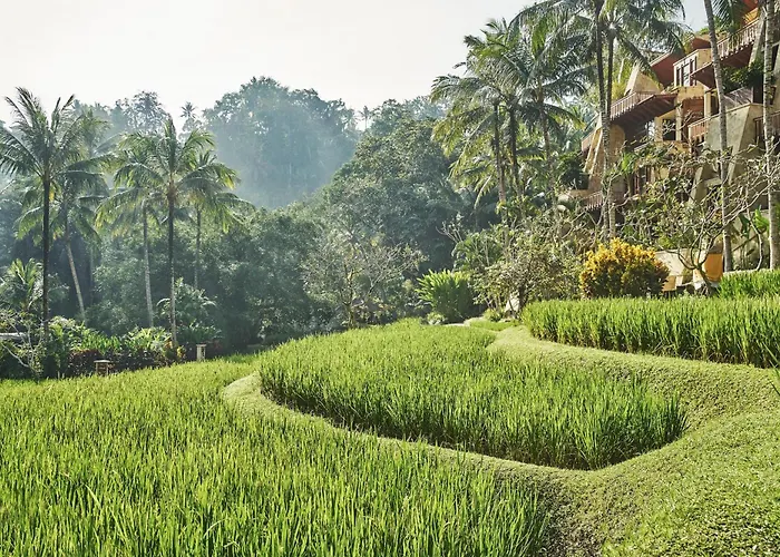 Four Seasons Bali At Sayan Resort Ubud (Bali)