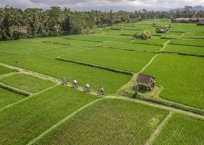 Four Seasons Bali At Sayan Ubud (Bali)